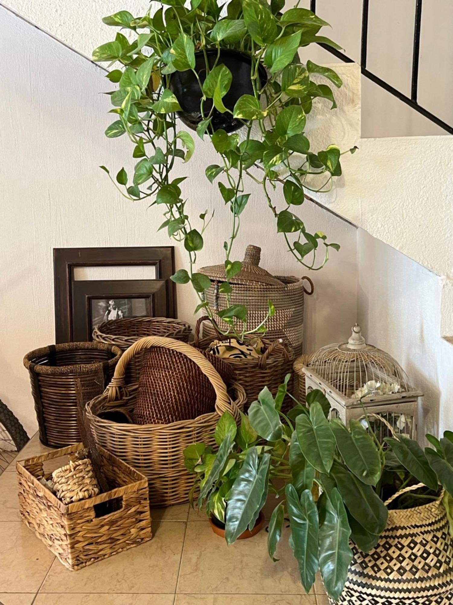ホテル Casa Botanica ロ・デ・マルコス エクステリア 写真