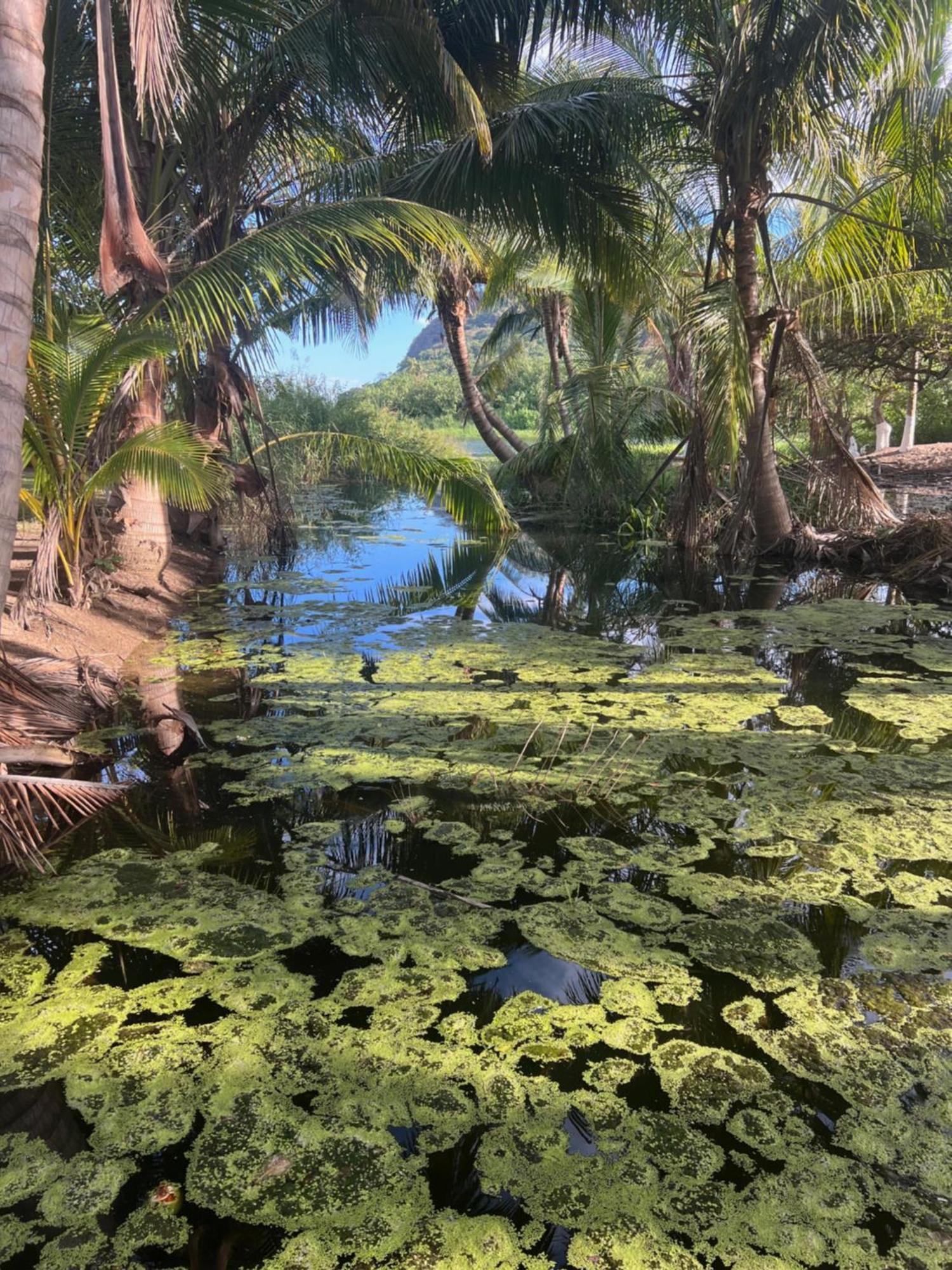 ホテル Casa Botanica ロ・デ・マルコス エクステリア 写真