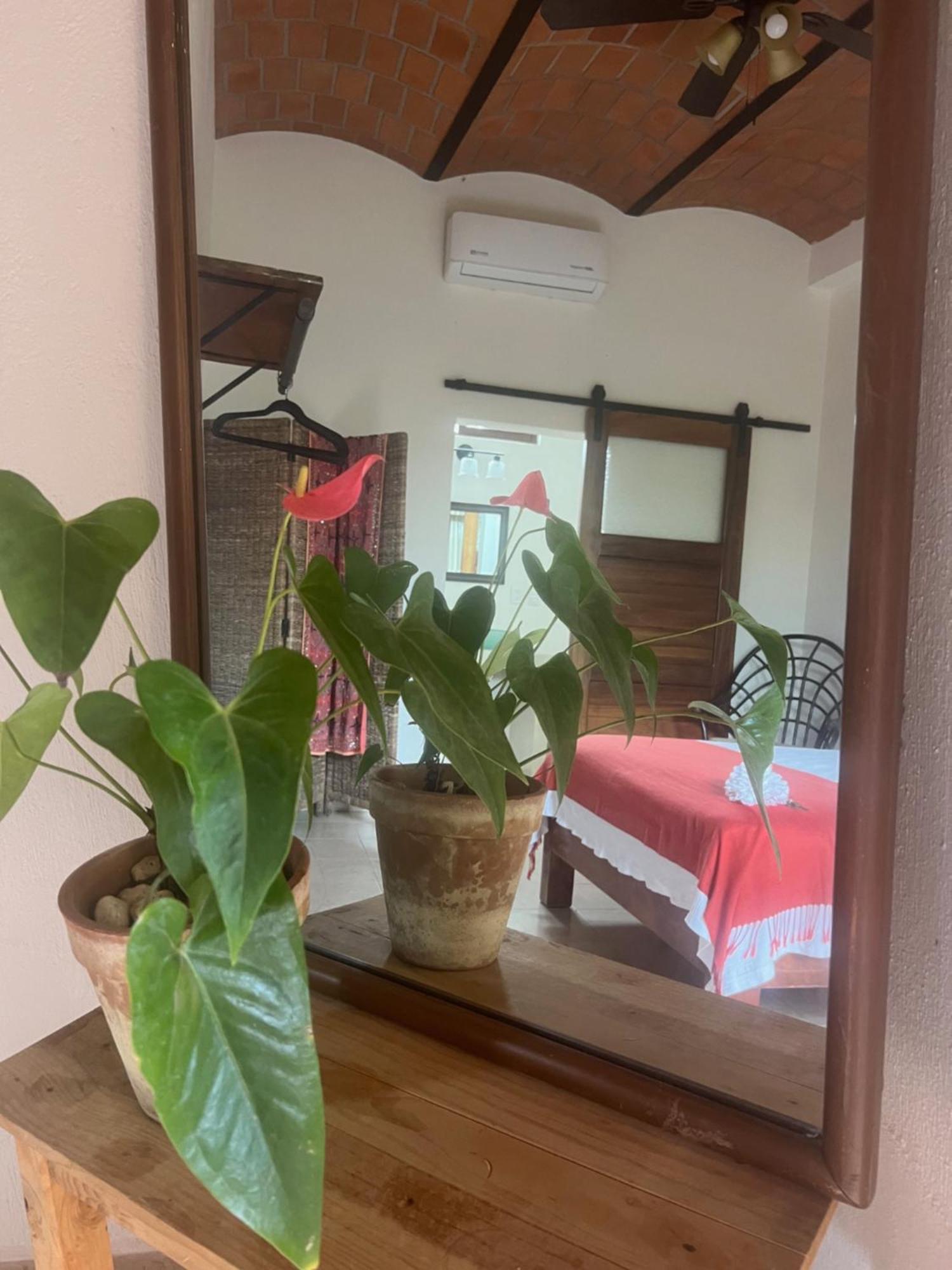 ホテル Casa Botanica ロ・デ・マルコス エクステリア 写真