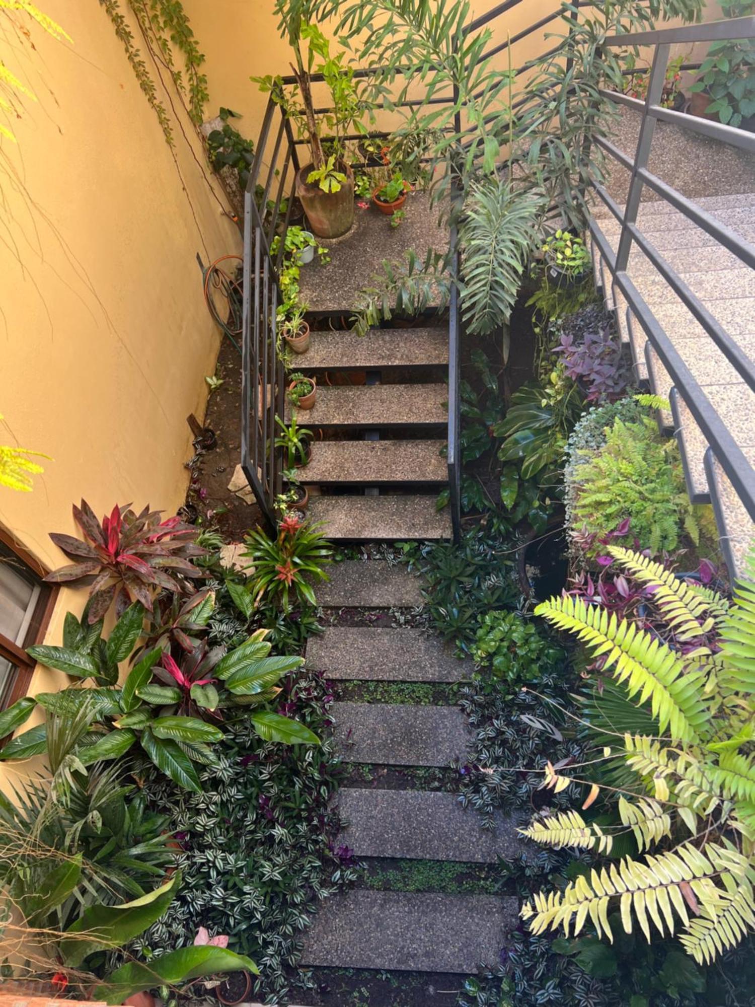 ホテル Casa Botanica ロ・デ・マルコス エクステリア 写真